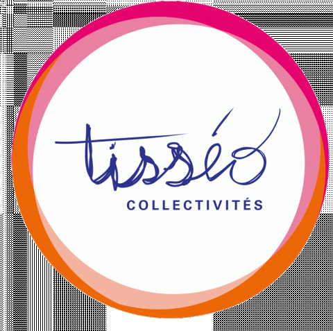 logo tisseo