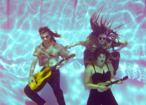 Groupe Baboucan and the fine asses dans une piscine
